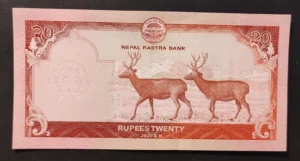 s l1600 5219.webp s l1600 5219.webp