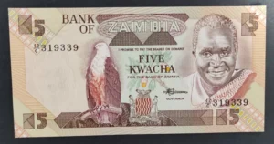 s l1600 5623.webp s l1600 5623.webp