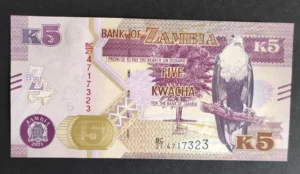 s l1600 6069.webp s l1600 6069.webp