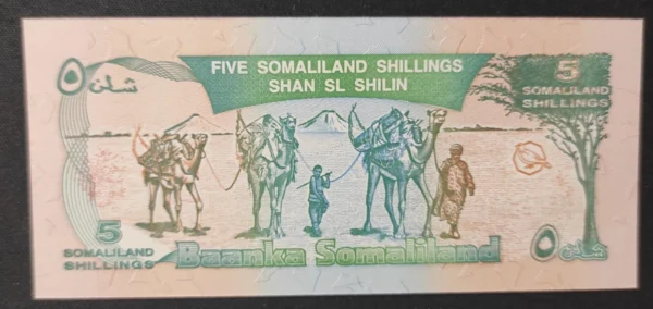 s l1600 8149.webp s l1600 8149.webp