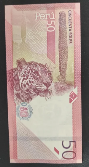 s l1600 8301.webp s l1600 8301.webp