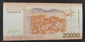 s l1600 8313.webp s l1600 8313.webp