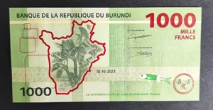 s l1600 8591.webp s l1600 8591.webp