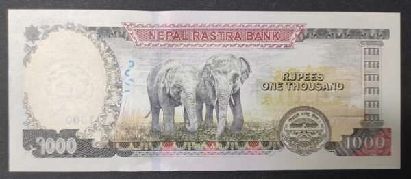 népal billet 1000 rupées 2019 neuf ( unc ) pick 82 mont everest eléphants