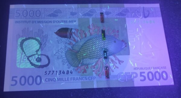 nouvelle calédonie polynésie billet de 5000 francs 3eme sign neuf 577134 b4