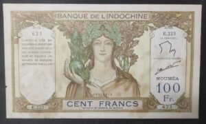 nouvelle calédonie billet de 100 francs ruines d'angkor " noumea " km.415.e (copie)