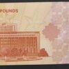 syrie billet de 50 nouveau pounds 2025 fruits orange neuf ( unc )